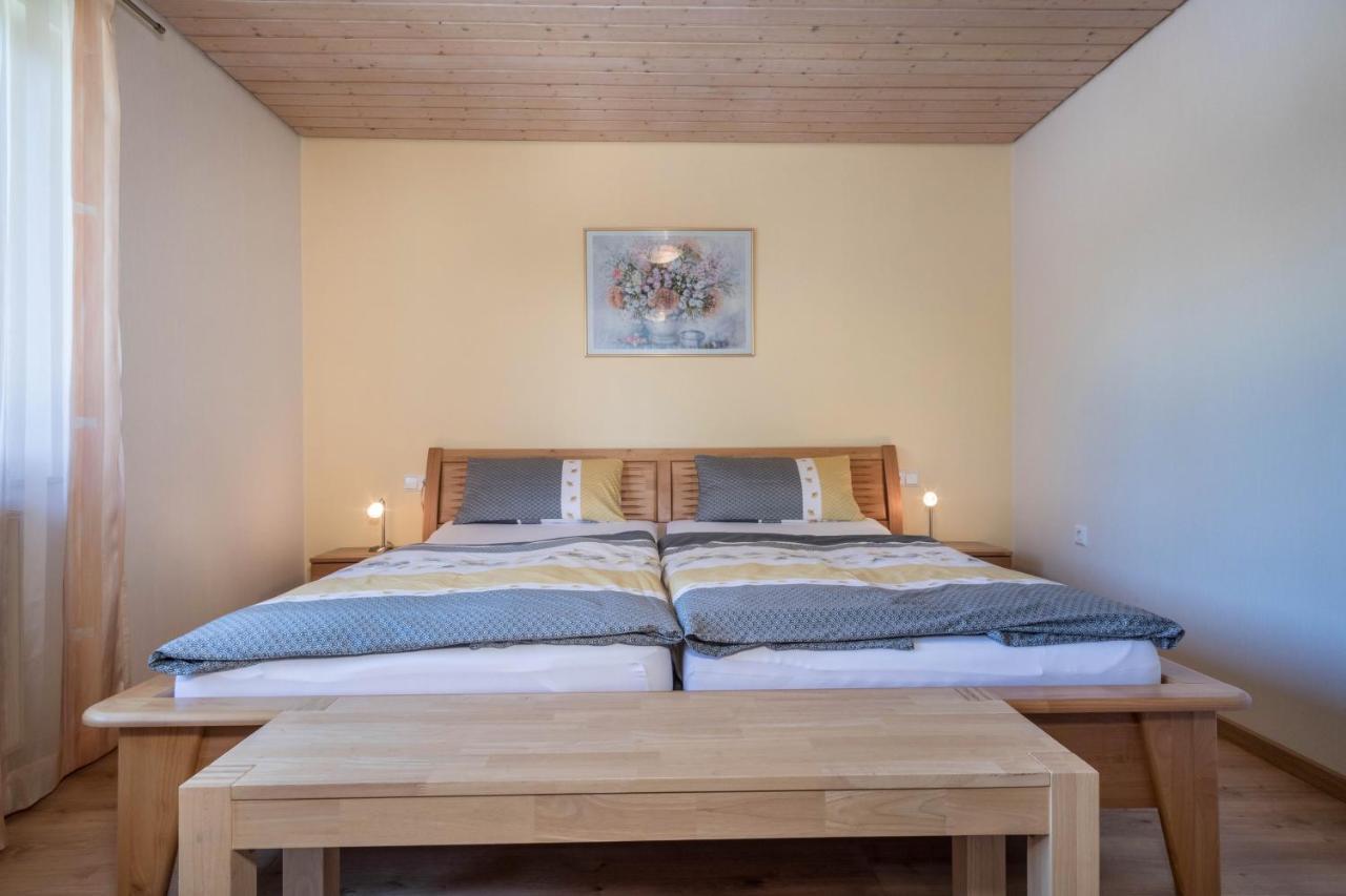 Haus Schussenblick Og Appartement Eriskirch Buitenkant foto